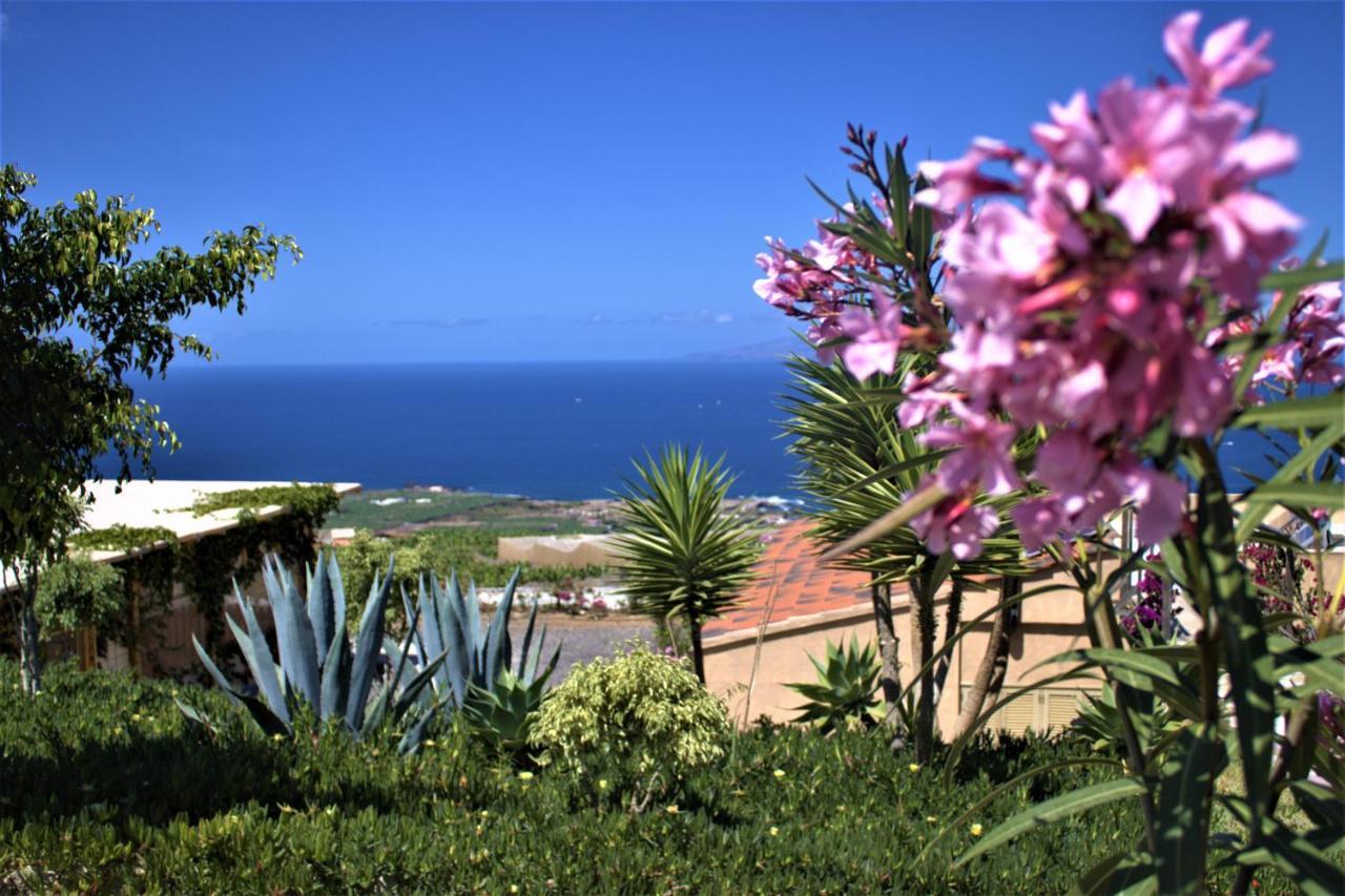 Finca Gaia La Segunda Guía de Isora Dış mekan fotoğraf