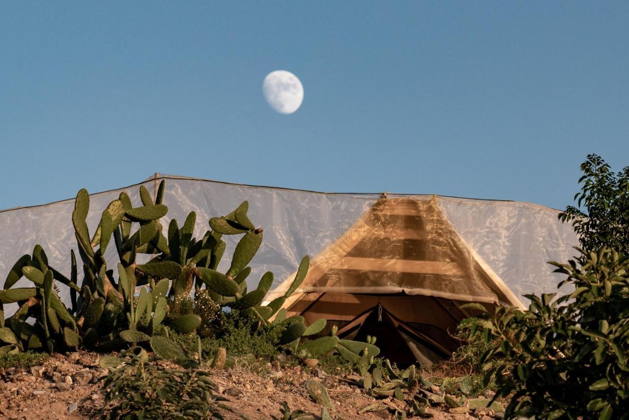 Finca Gaia La Segunda Guía de Isora Dış mekan fotoğraf