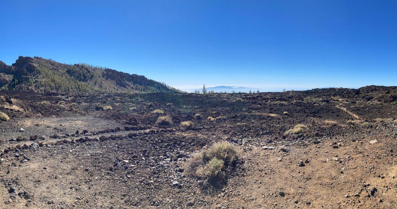 Finca Gaia La Segunda Guía de Isora Dış mekan fotoğraf