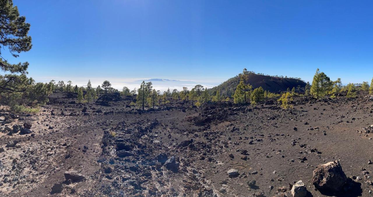 Finca Gaia La Segunda Guía de Isora Dış mekan fotoğraf