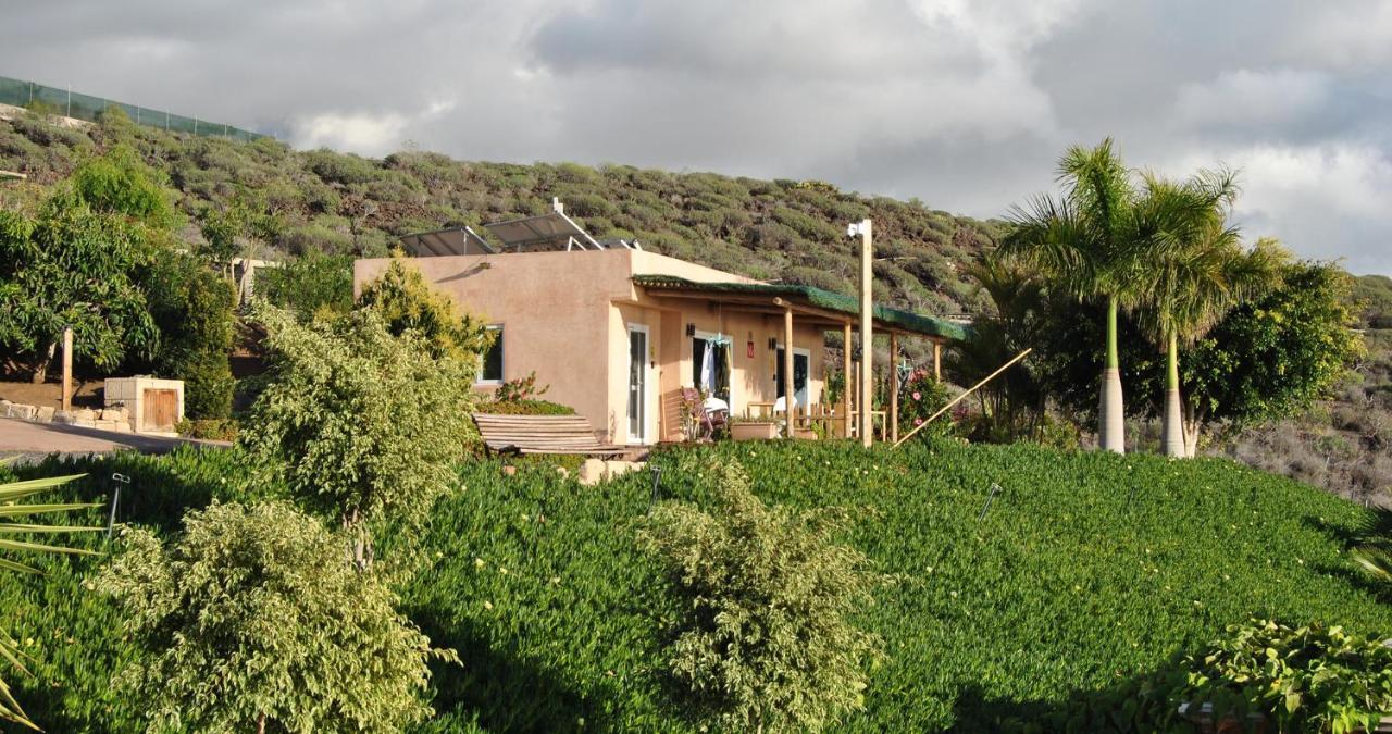 Finca Gaia La Segunda Guía de Isora Dış mekan fotoğraf