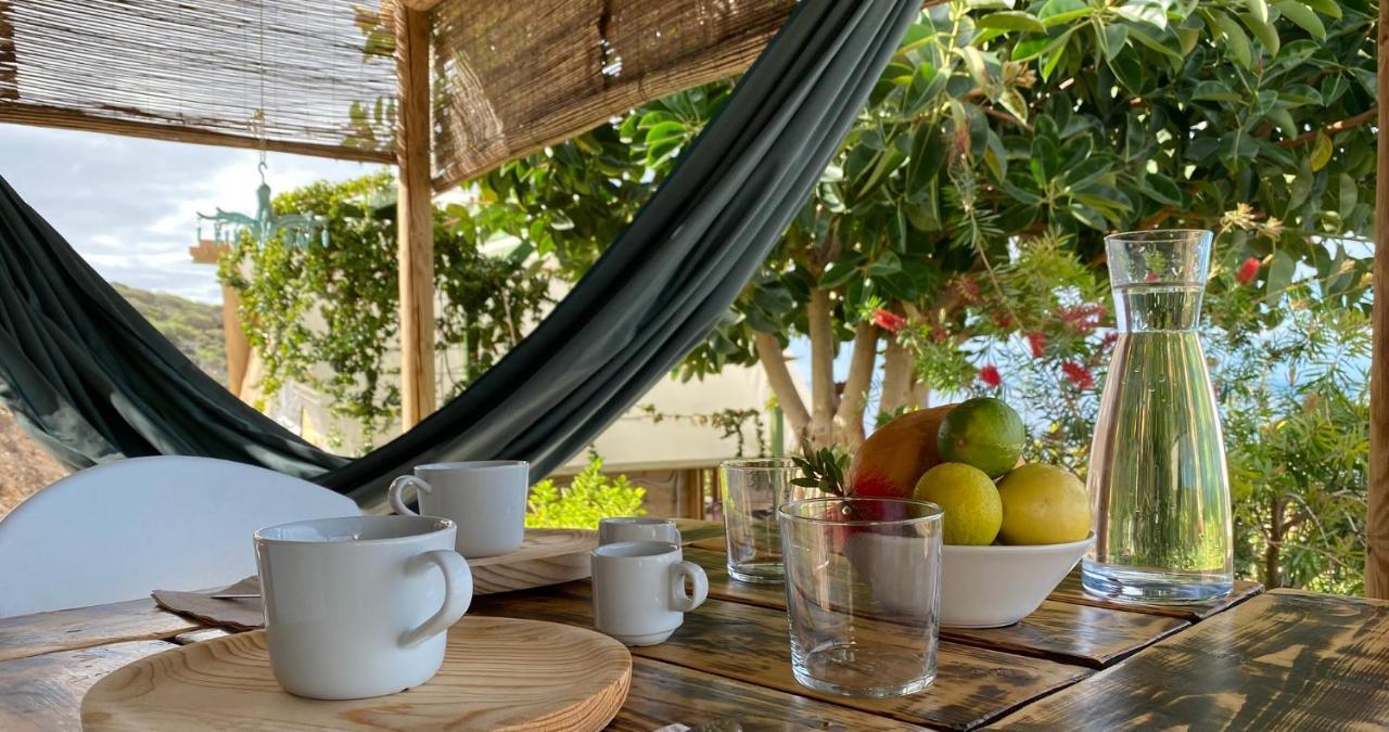 Finca Gaia La Segunda Guía de Isora Dış mekan fotoğraf