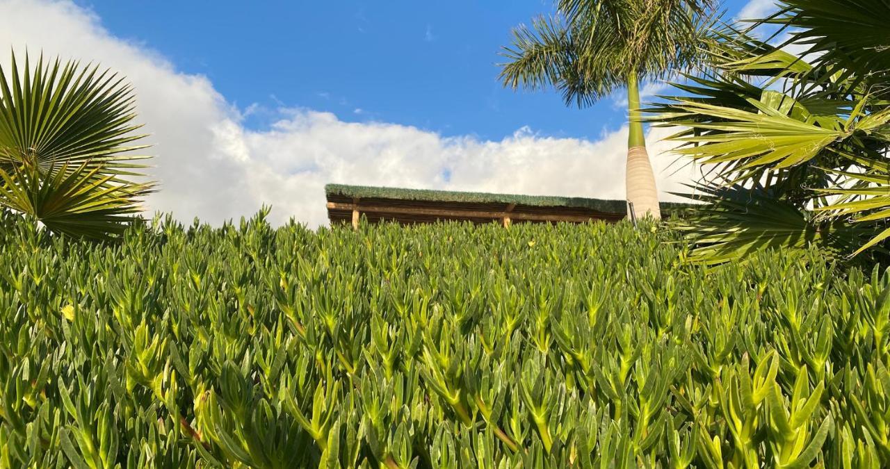 Finca Gaia La Segunda Guía de Isora Dış mekan fotoğraf