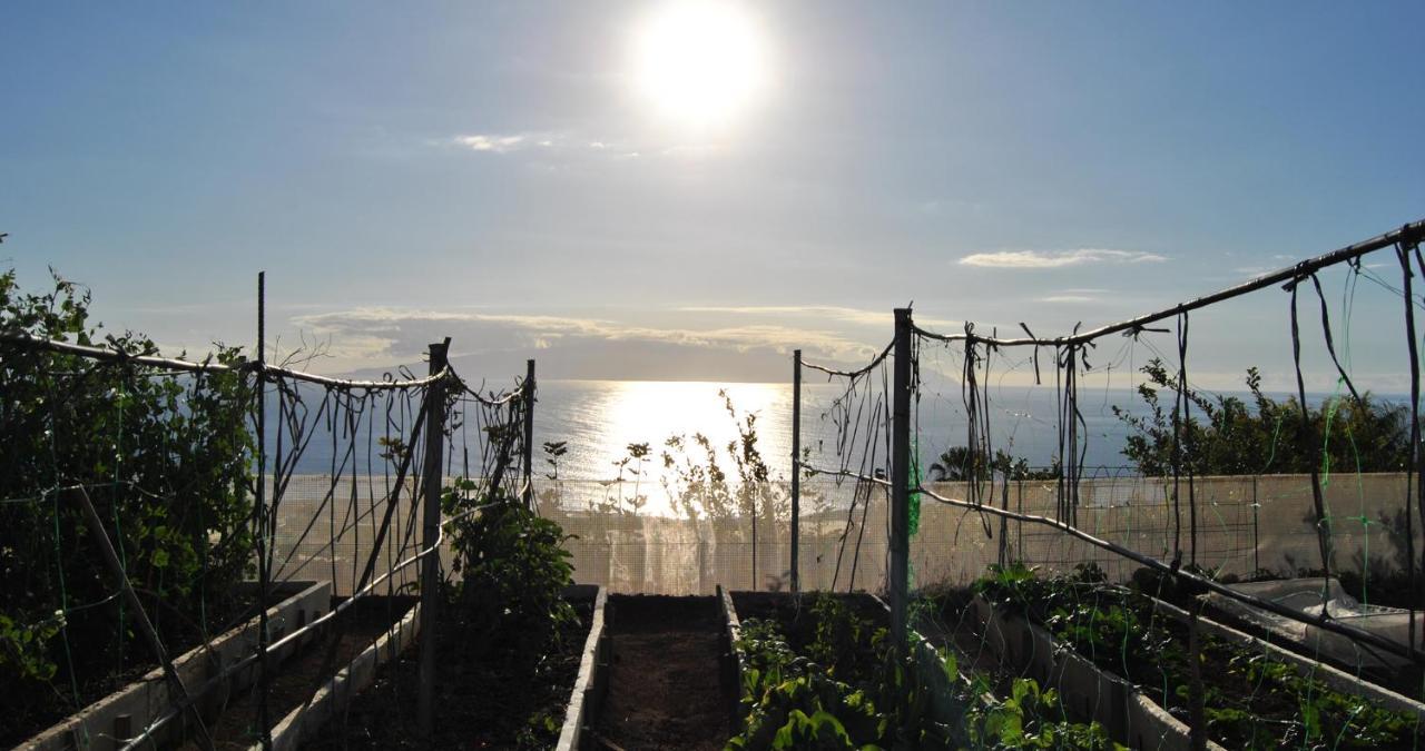 Finca Gaia La Segunda Guía de Isora Dış mekan fotoğraf
