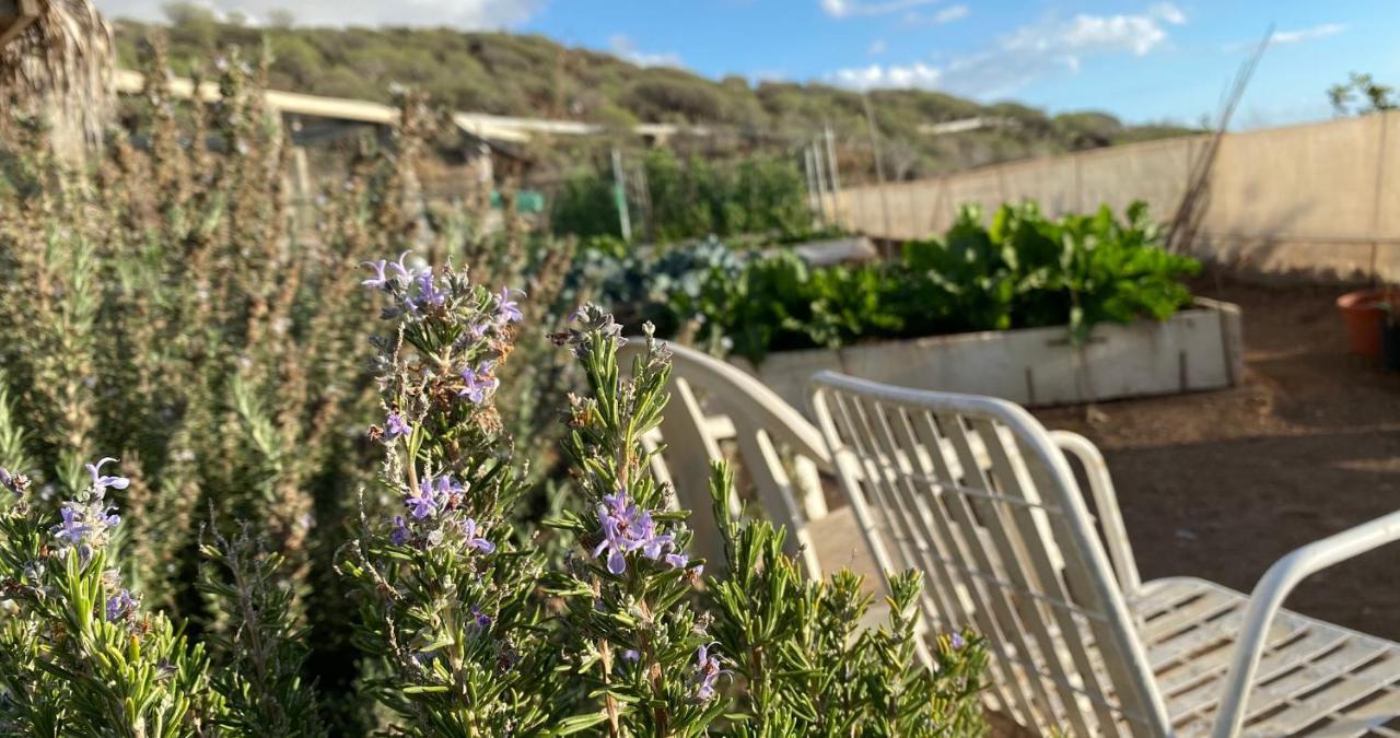 Finca Gaia La Segunda Guía de Isora Dış mekan fotoğraf
