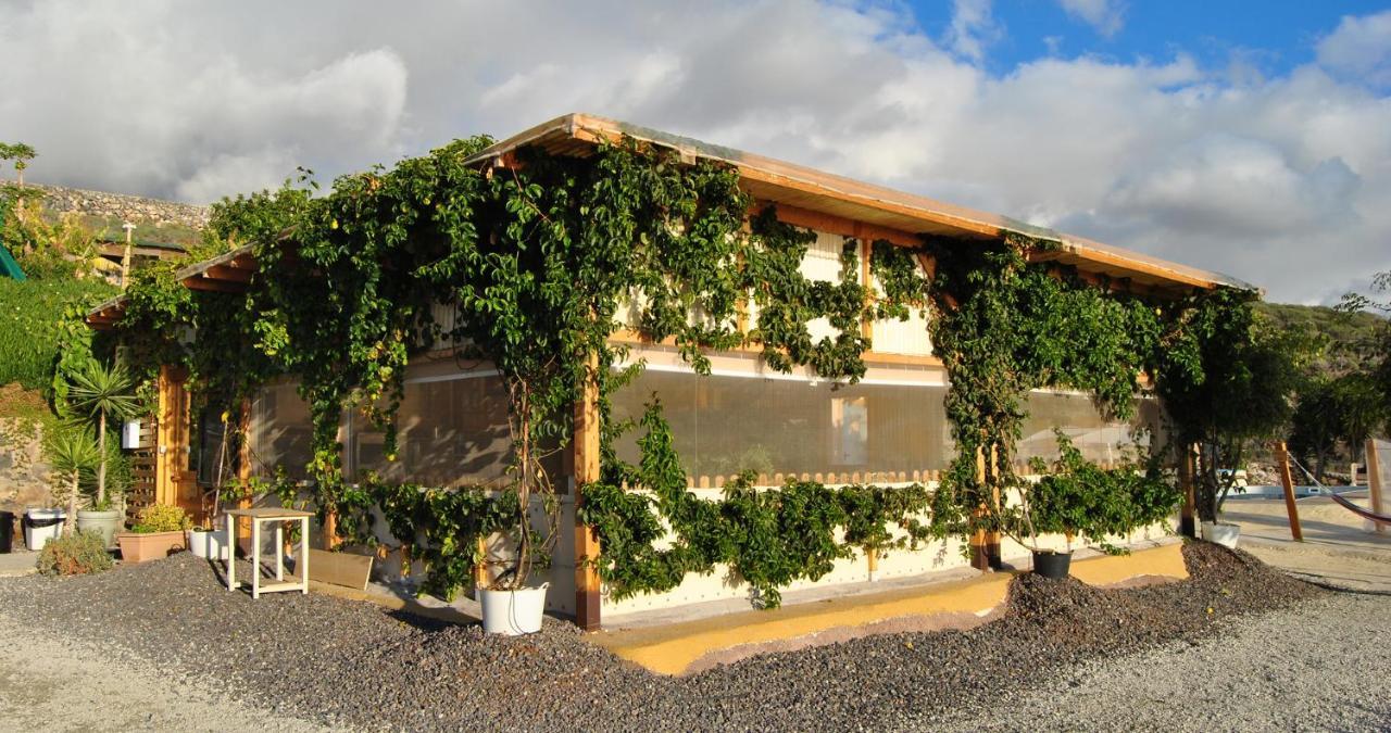 Finca Gaia La Segunda Guía de Isora Dış mekan fotoğraf