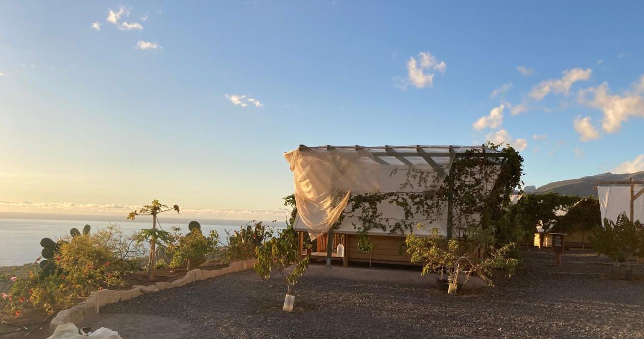 Finca Gaia La Segunda Guía de Isora Dış mekan fotoğraf
