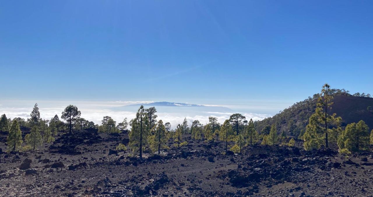 Finca Gaia La Segunda Guía de Isora Dış mekan fotoğraf